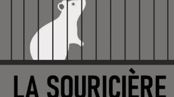 La Souricière d'après Agatha Christie